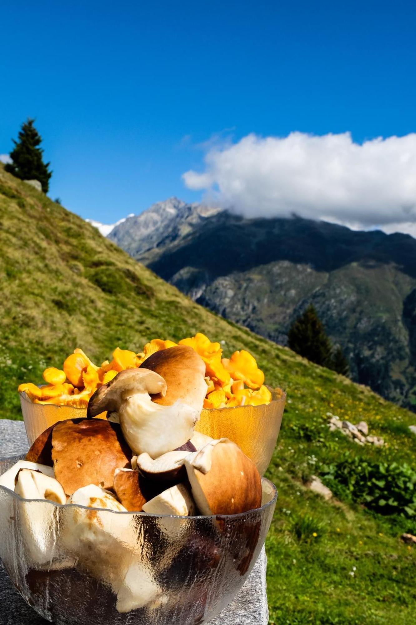 Alphuette Bielerchaeller Villa Fiesch Buitenkant foto