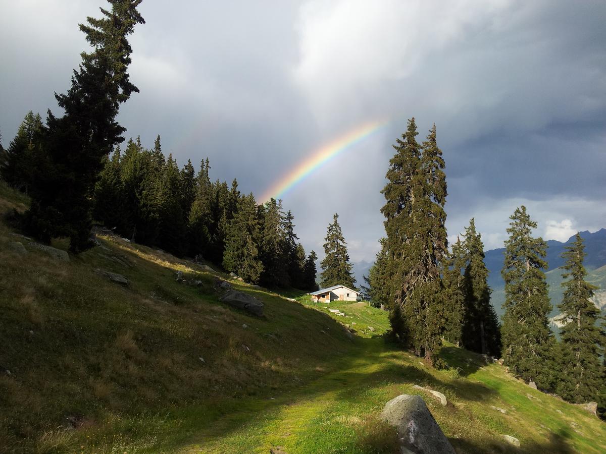 Alphuette Bielerchaeller Villa Fiesch Buitenkant foto